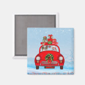 Papillon Dog in auto met kerstman Magneet (Voorkant / Achterkant)