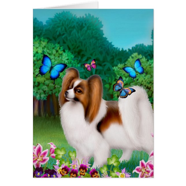 Papillon Dog in de tuin (Voorkant)