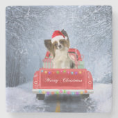 Papillon Dog in sneeuw, met kerstmis Stenen Onderzetter (Voorkant)