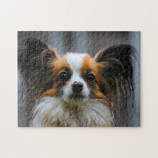 Papillon Dog. Legpuzzel (Horizontaal)