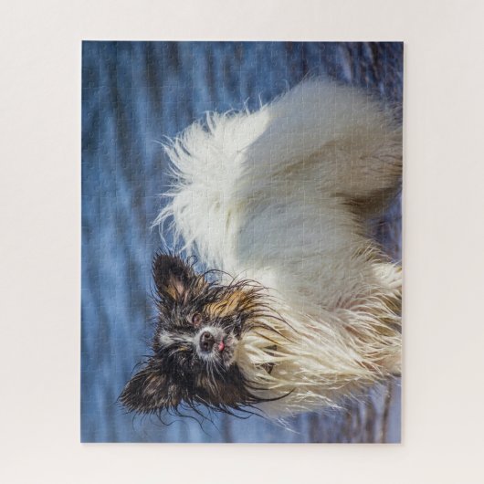 Papillon Dog. Legpuzzel (Verticaal)