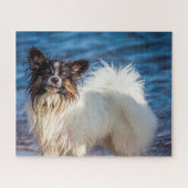 Papillon Dog. Legpuzzel (Horizontaal)