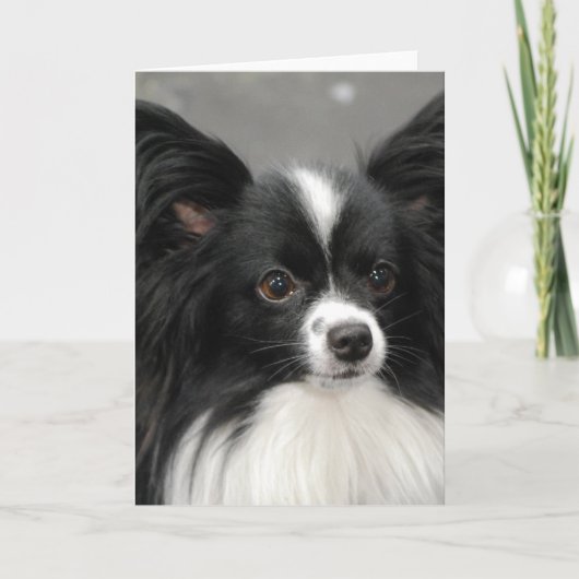 Papillon Dog Note Card Kaart (Voorkant)