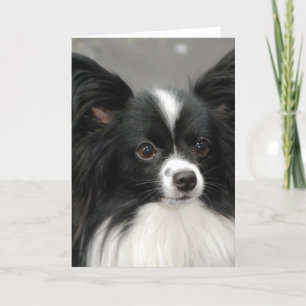 Papillon Dog Note Card Kaart