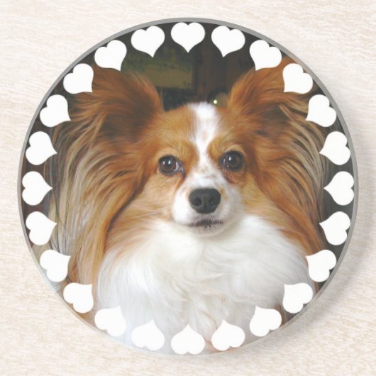 Papillon Dog Onderzetters (Voorkant)