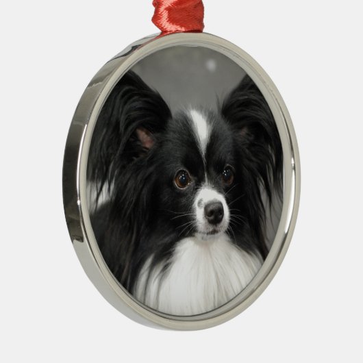 Papillon Dog Ornament (Rechts)