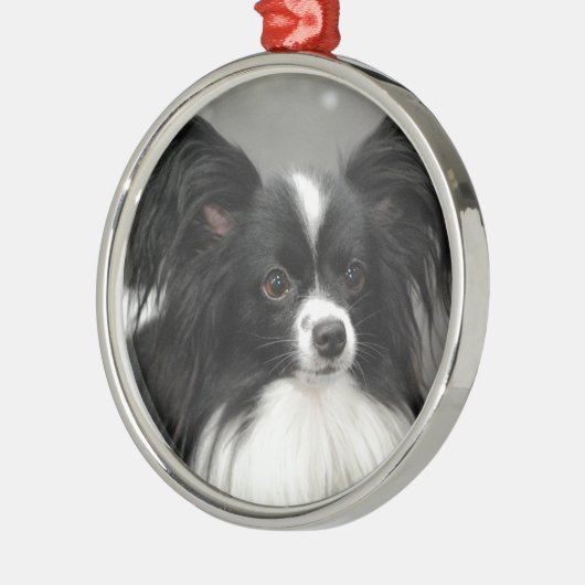 Papillon Dog Ornament (Links)