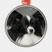 Papillon Dog Ornament (Voorkant)