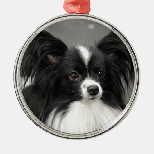 Papillon Dog Ornament (Voorkant)