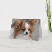Papillon Dog Portret Kaart (Voorkant)