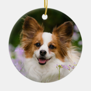 Papillon Dog Romantic Cute Portrait Keramisch Ornament