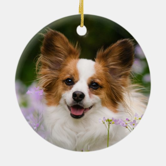 Papillon Dog Romantic Cute Portrait Keramisch Ornament (Achterkant)