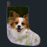 Papillon Dog Romantic Portrait Santa mantle Kleine Kerstsok<br><div class="desc">Een Witte en Rode Papillon hond die in een weide zit omringd door Cuckooflower. Papillon is een waarschuwend,  vriendelijk en zeer slim speelgoed ras. Dit mooie verhaal werd gefotografeerd door Katho Menden,  dit kerstmantel decor is een betoverend speciaal geschenk voor doglovers.  http://www.zazzle.com/kathom_photo</div>