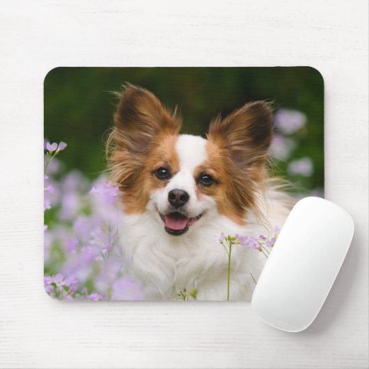 Papillon Dog Romantic Portret Muismat (Met muis)