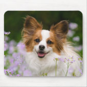 Papillon Dog Romantic Portret Muismat (Voorkant)