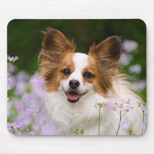 Papillon Dog Romantic Portret Muismat (Voorkant)