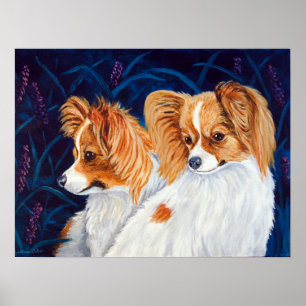 Papillon Dog Wall afdrukken Poster