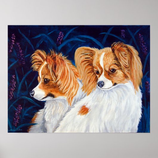 Papillon Dog Wall afdrukken Poster (Voorkant)