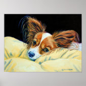 Papillon Dog Wall afdrukken Poster (Voorkant)