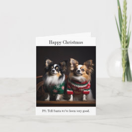 Papillon Dogs in Kersttruien Kaart