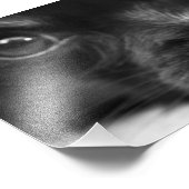 papillon foto afdruk (Hoek)