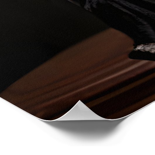 Papillon gekleed in Victoriaans kostuumportret Poster (Hoek)