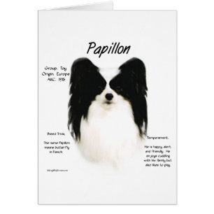 Papillon Geschiedenis Ontwerp