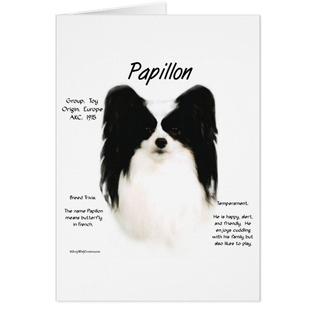 Papillon Geschiedenis Ontwerp (Voorkant)