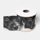 papillon grosgrain lint (Spoel)