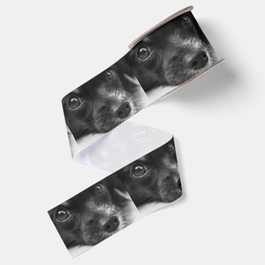 papillon grosgrain lint (Achterkant)