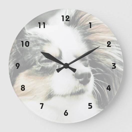 Papillon Grote Klok (Voorkant)