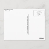 Papillon Gwen Photographie Briefkaart (Achterkant)