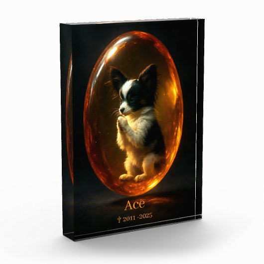 Papillon-herdenkingsfotoblok Fotoblokken (Links)