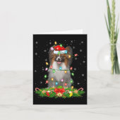 Papillon Hond Kerstverlichting Grappige Kerstman H Kaart (Voorkant)