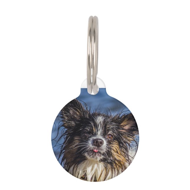 Papillon hondenpenningen. huisdierpenning (Voorkant)