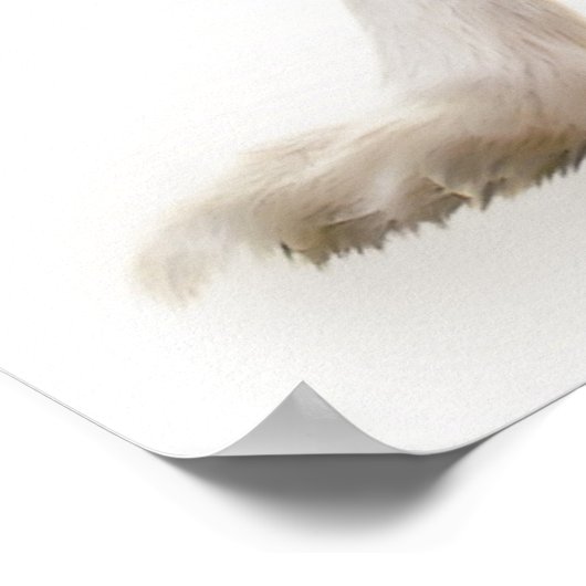 Papillon hondenportret poster (Hoek)