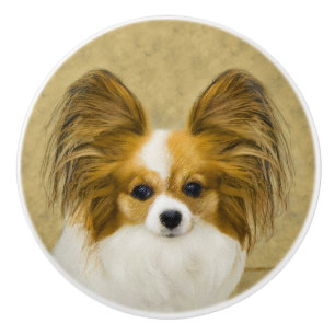 Papillon (Hound Tri) schilderen - Oorspronkelijke Keramische Knop