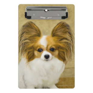 Papillon (Hound Tri) schilderen - Oorspronkelijke Mini Klembord
