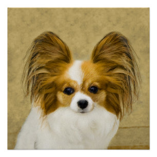 Papillon (Hound Tri) schilderen - Oorspronkelijke  Perfect Poster