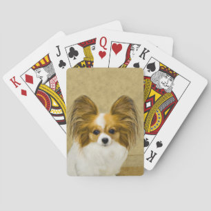 Papillon (Hound Tri) schilderen - Oorspronkelijke Pokerkaarten