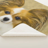 Papillon (Hound Tri) schilderen - Oorspronkelijke  Sherpa Deken (3/4)