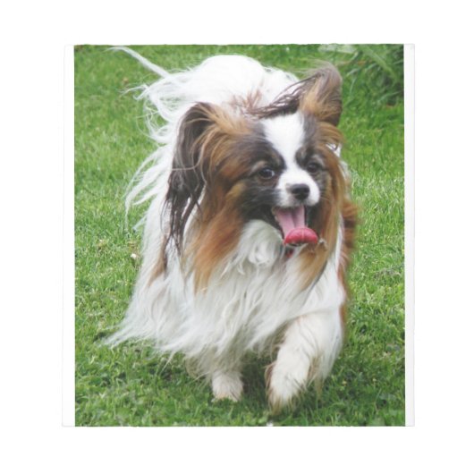 Papillon_in beweging notitieblok (Voorkant)