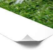 Papillon_in beweging poster (Hoek)