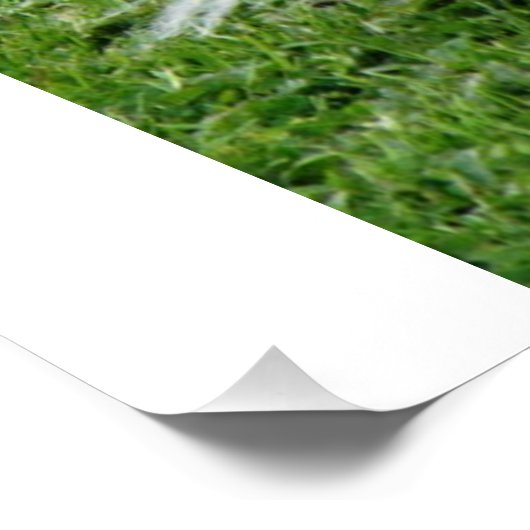 Papillon_in beweging poster (Hoek)