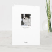 Papillon Je bent hoe oude verjaardag Kaart (Achterkant)