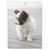 Papillon Klembord (Achterkant)