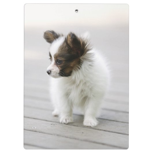 Papillon Klembord (Achterkant)