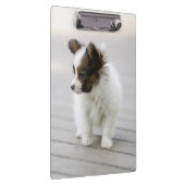 Papillon Klembord (Rechts)