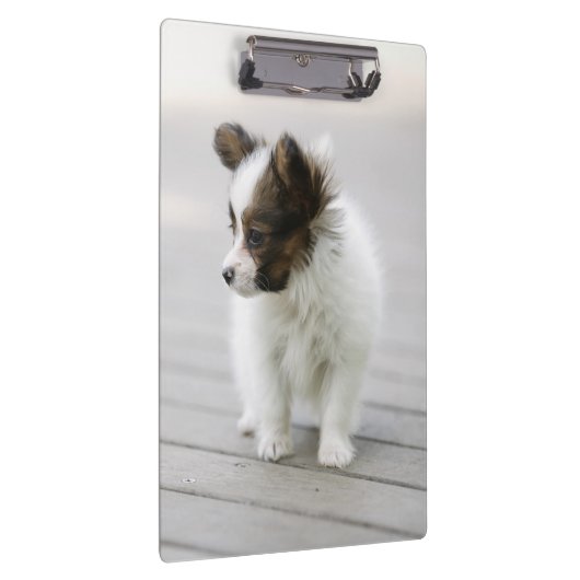 Papillon Klembord (Rechts)