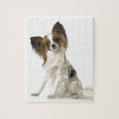 Papillon Legpuzzel (Verticaal)